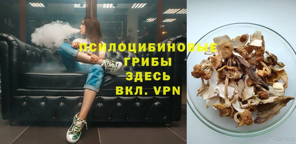 а пвп мука Алзамай